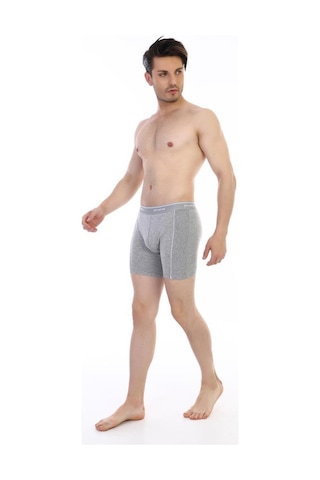 Çift Kaplan Erkek Elastanlı Biyeli Boxer 855 Gri