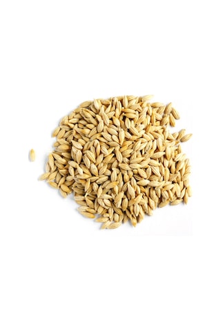Doğal Arpa 5 Kg Tavuk Güvercin Kuş Kanatlı Yemi Yemlik Tane Arpa