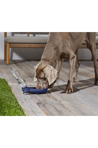 Su Şişesi, Evcil Hayvan İçin