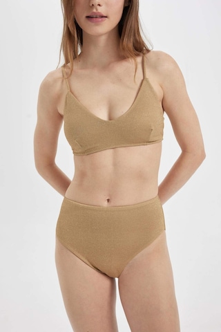 DeFacto Regular Fit Parlak Kumaş Yüksek Bel Bikini Altı-Fall in Love C3180AX24SMYL275