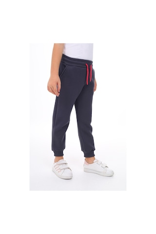 Toontoy Kız Çocuk Nakış Baskılı Beli Paçası Lastikli Cepli Basic Jogger Eşofman Altı 2 İplik Füme