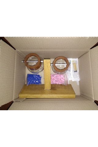 Topraksız Bitki ve Çiçek için Ahşap Ayaklı Cam Vazo