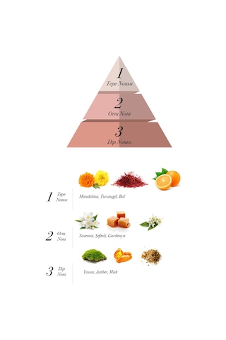 Prova Backa Red Vouge EDP Çiçeksi Kadın Parfüm 120 ML