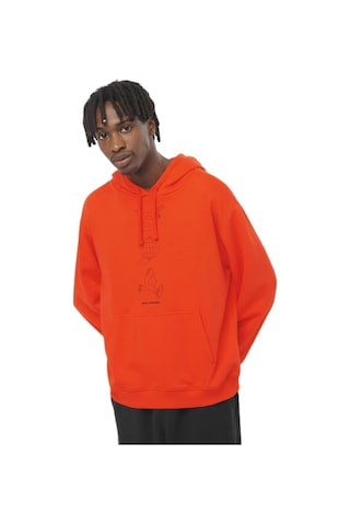 Salomon Worthy Hoodıe M Nnj0 Çok Renkli