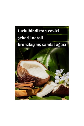Bath & Body Works Coco Paradise Büyük Mum 411 G Çok Renkli