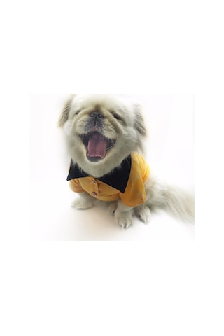 Orange Skies Polo Yaka Tişört Köpek Kıyafeti Köpek Elbisesi