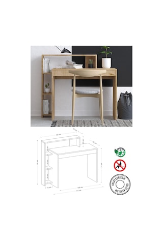 Decormet Uma Çalışma Masası Dec0083 Çok Renkli