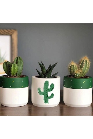 Kaktüs Desenli Saksı 3'lü Set Bitkisiz Kaktüs Desenli Saksı 3'lü Set Bitkisiz