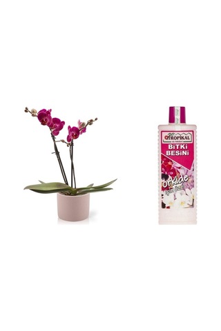 Tropikal Orkide Bitki Besini - 1000 Ml