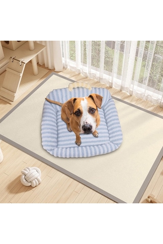 Suntek Kapalı Kediler Için Kedi Yatağı Erteleme Küçük Mavi