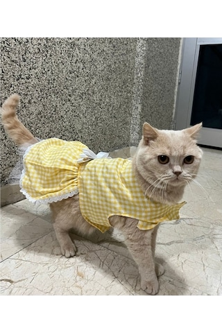Sarı Beyaz Kareli Fiyonklu Kedi Köpek Kıyafeti Elbisesi Medium/m