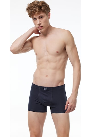 Malabadi Erkek 3'lü Füme Premium Collection Modal Boxer 3m251