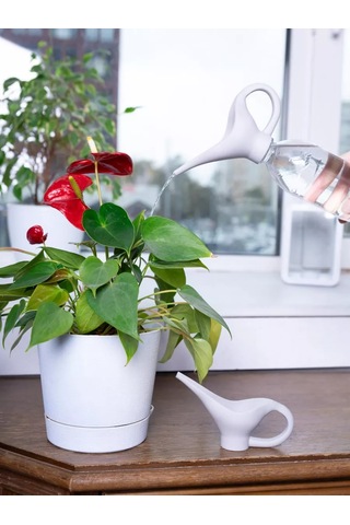 Arrıchi İklimlendirme İç Mekan İçin Sulama Kabı 224342132