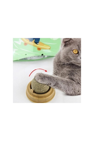 Zensaas41 Kedi Nanesi Catnip Oyun Topu Zensaa56