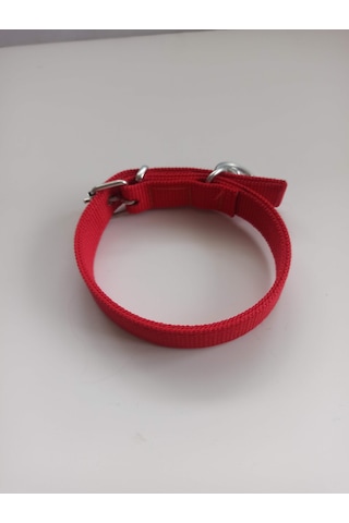 Kozaklı Küçük Irk Köpek Tasması Kırmızı 50 x 2.5 CM Kırmızı
