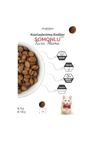 Anatolian Premium Sterilised Somonlu Kısırlaştırılmış Yetişkin Kedi Maması 2 x 2 KG