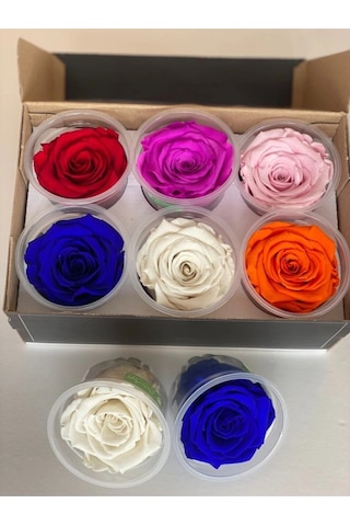 Şoklanmış 6'lı Karışık Xl Solmayan Gül Çok Renkli
