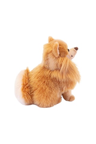 Trudi Pomerian Biscuit 22348 Çok Renkli