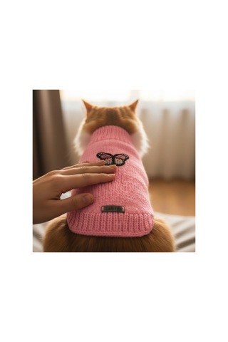 Kedi Ve Köpek İçin Kelebekli Pembe Kazak