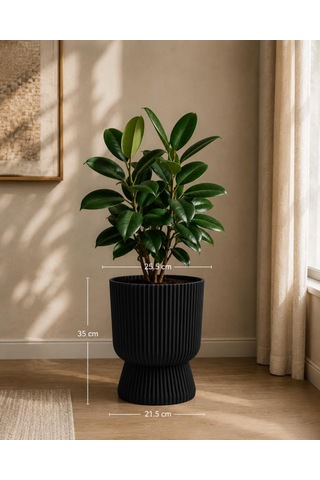 Omnipazar So-ltsa03 Lotus Ayaklı Plastik Vazo Çiçek Saksı 10,5 Litre No: 3 Siyah