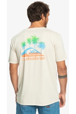 Quiksilver Eqyzt07252-wdw0 Pastimeparadise M Tees Erkek T-shirt 001