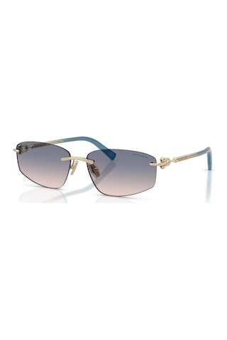 Tf 3114 619116 59 Tiffany & Co. Güneş Gözlüğü Siyah