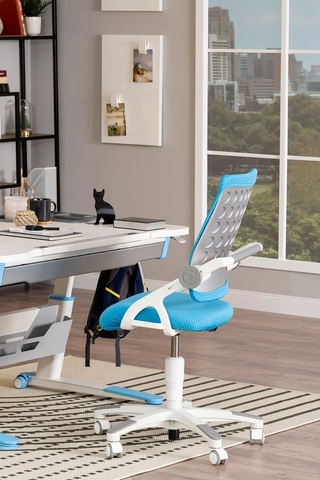 Creo Mobili Yükseklik Ve Sırt Ayarlı Sirius Çalışma Sandalyesi Ofis Ve Bilgisayar Koltuğu Mavi/mavi Gri