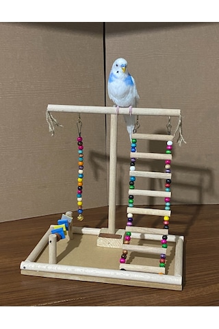 Paks Pet Kuş Oyun Parkı No:14