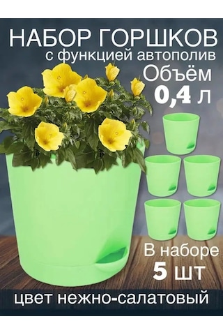 Interm Menekşe Kaktüs Fide Çiçek Saksısı Seti 123240306