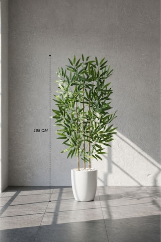 Biçiçek 110 Cm Bambu Ağacı Beyaz Yakut Saksıda