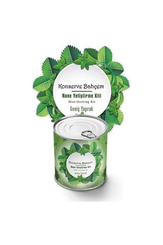Buffer Konserve Bahçem Nane Yetiştirme Kiti Mavi