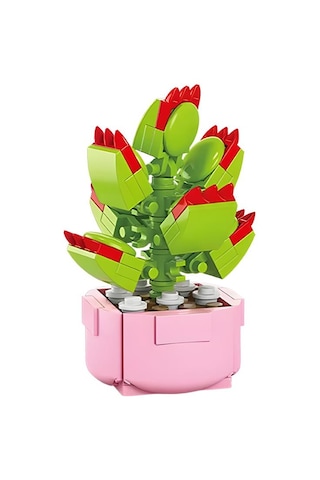 Ctoys Florist Burçlar Saksılı Bitki Yapım Seti Leo 8942 5