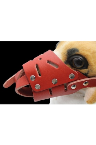 Homyl Ayarlanabilir Anti-ısırık Ağız Namlu Sepeti Pet S