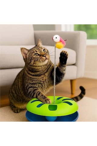 Tineke Çıngarak Toplu Yaylı Fareli Kedi Çember Oyuncağı Kedi Eğlence Aksesuarı Kedi Oyun Çemberi