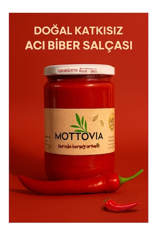 Biber Salçası 600 Gr
