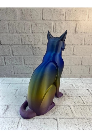 Koyu Rainbow Kedi