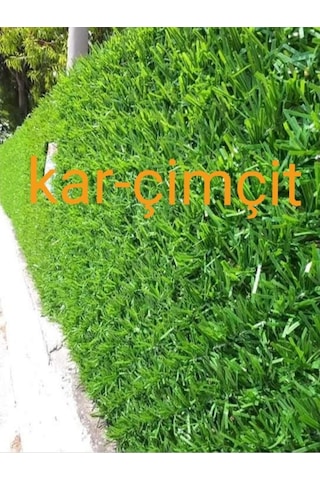 Çim Çit - Çimçit - Çimli Çit - Dekoratif Çit - Çimli Tel Çit