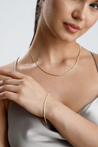 14 Ayar Altın Balık Sırtı Zincir Kolye 6 Mm Sarı
