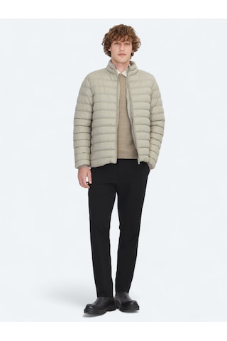 Kip Vizon Regular Fit Dik Yaka Casual Dokuma Mont Vizon -