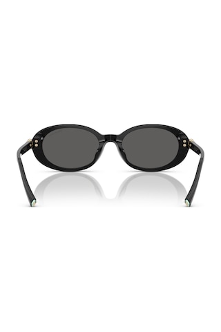 Tf 4242d 8361s4 54 Tiffany & Co. Güneş Gözlüğü Siyah