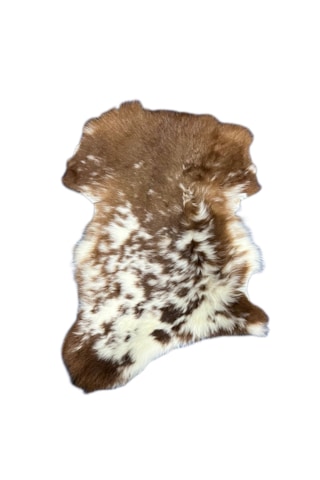 Naturel Boyasız Doğal Renkli Uzun Tüylü Kuzu Postu