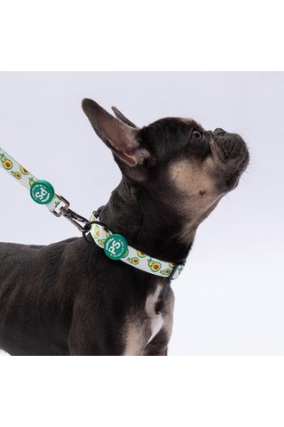 Avocado Avokado Desenli Köpek Boyun Tasması Ayarlanabilir Köpek Tasması Yeşil