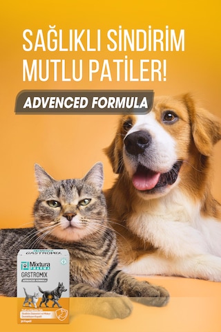 Mixtura Pharma Gastromix Mide Ve Sistemini Kedi Ve Köpek Mide Koruyucu