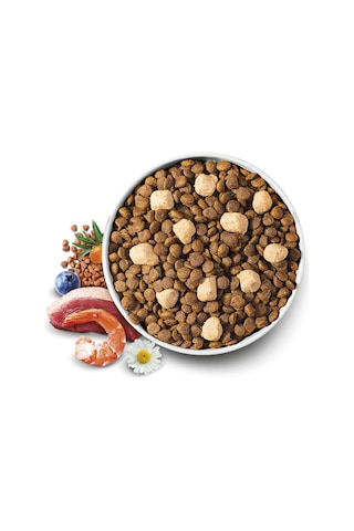 Brit Care Raw Delights Hipoalerjenik Hindi Etli Ve Karidesli Tahılsız Küçük Irk Yetişkin Kedi Maması 2kg