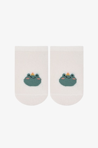 Penti Renkli Erkek Çocuk Catcher Frog 4 'lü Frog