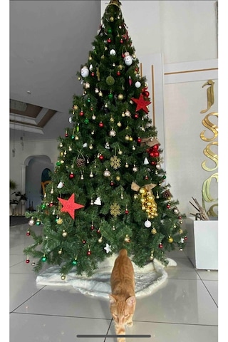 Yılbaşı Ağacı 300 Cm 1750 Dal