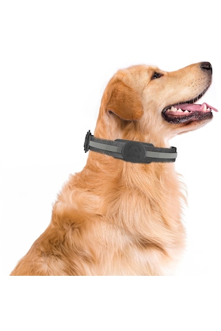 Buff Tagsafe Dogcol Taşınabilir Anahtarlık Apple Uyumlu AirTag Kılıf Black