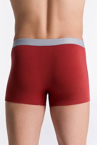 Albero Natur Gots Sertifikalı Organik Pamuk Erkek Trunk Boxer İç Çamaşırı Kırmızı