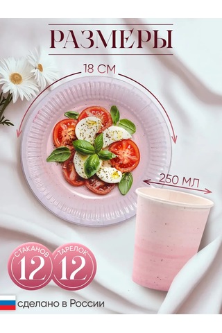 Strana Karnavalia 12 Kişilik Tek Kullanımlık Sofra Takımı 295660342 100 adet