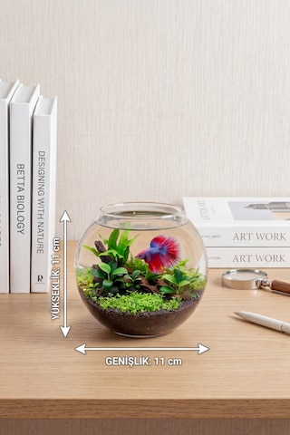 Beta Akvaryumu 11 Cm Mini Cam Fanus Betta Balığı İçin Masaüstü Akvaryum, Dekoratif Cam Akvaryum